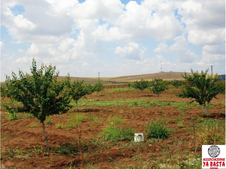 JINWAR- LA RIVOLUZIONE DELLE DONNE DEL ROJAVA NELLA PRATICA QUOTIDIANA