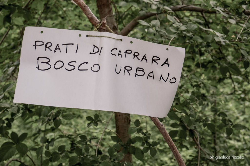 Iniziative nel bosco