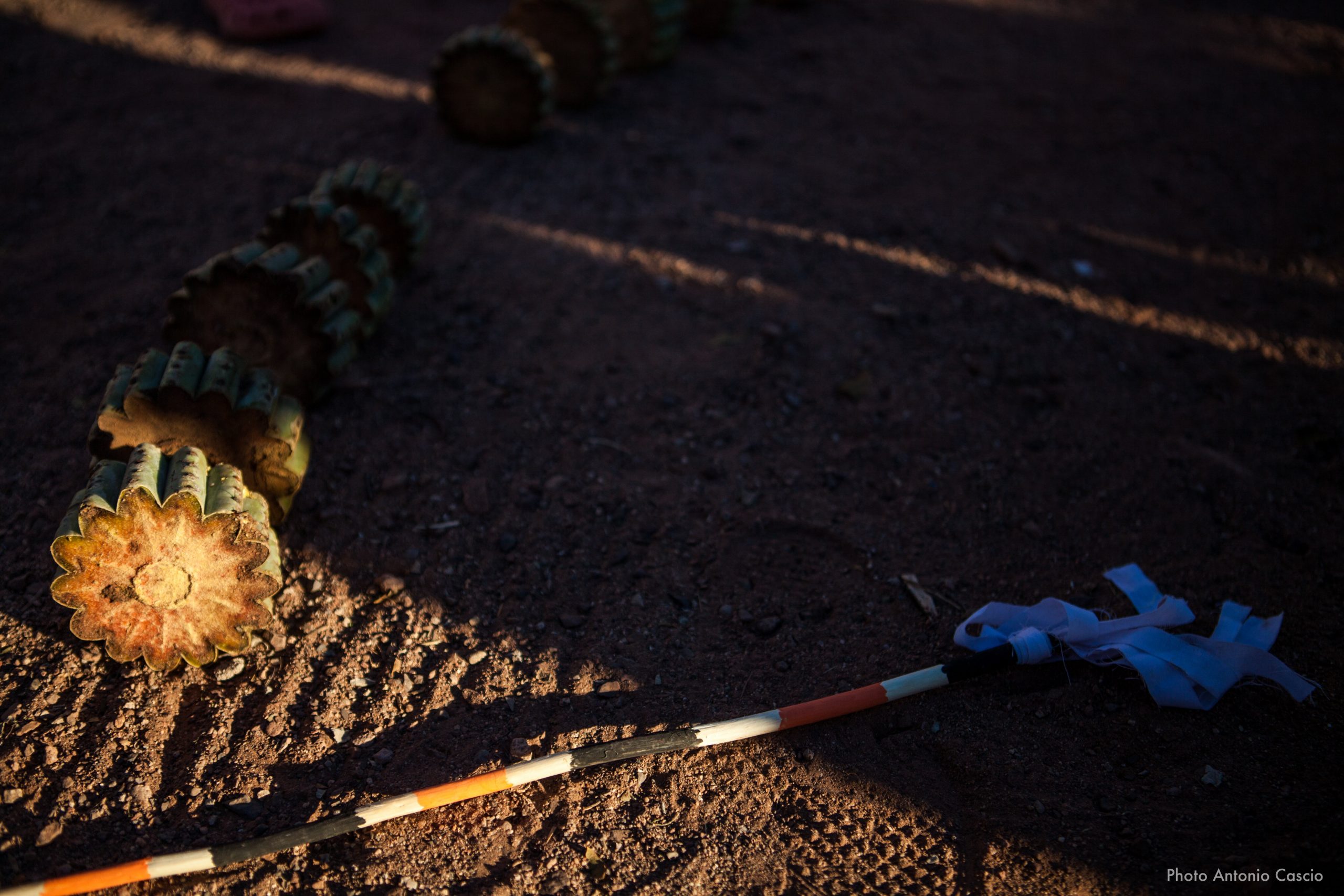 Un pezzo di cactus tagliato per disegnare un circolo di gioco durante la festa della pubertà. Punta Chueca, Sonora, Mexico. 10/12/19