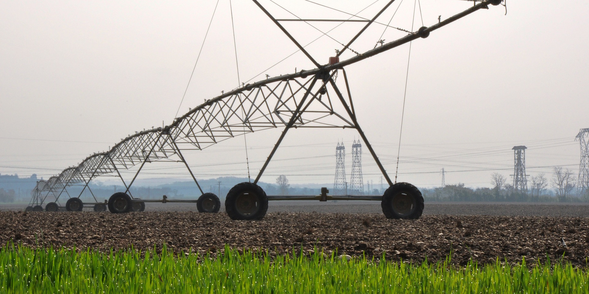 [fonte: https://www.dinamopress.it/news/europa-vince-lagribusiness-voto-finale-sulla-pac-politica-agricola-comune/]