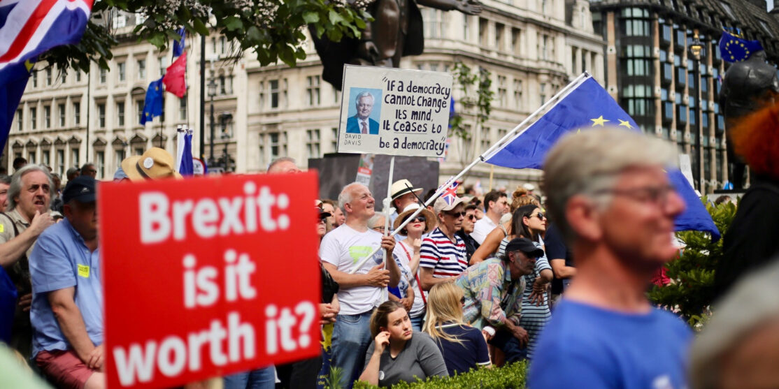 Pro-EU_march_for_a_peoples_vote_on_Brexit_deal_London_June_23_2018_48-e1609419443168