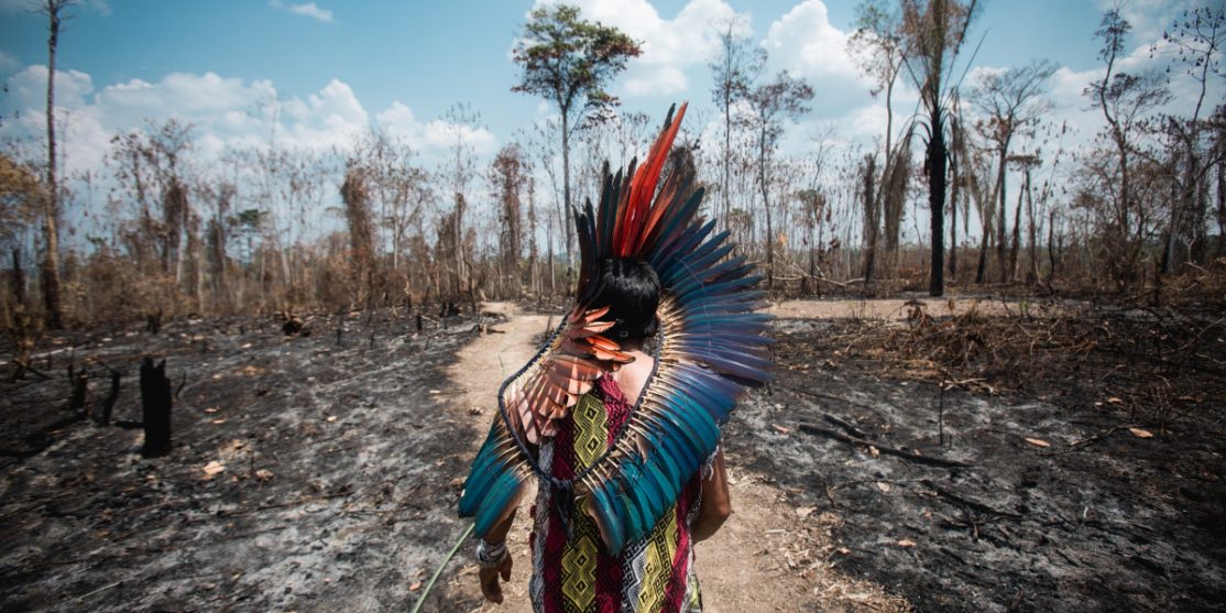 amazzonia Nacho Yuchark