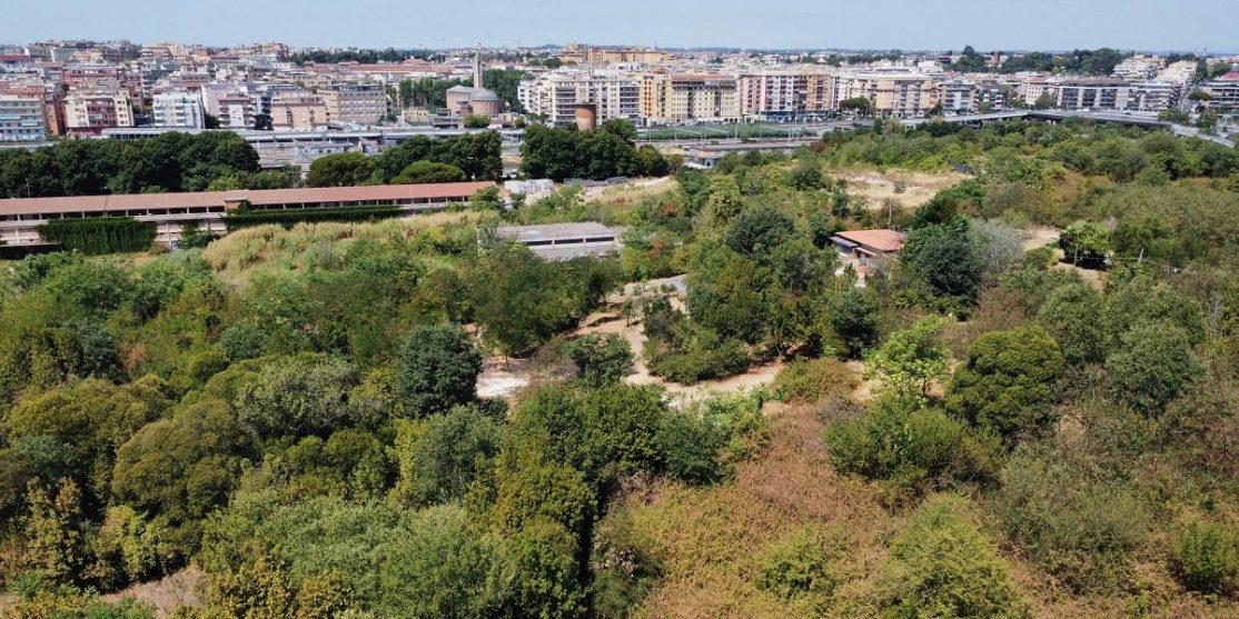 bosco pietralata daniele napolitano
