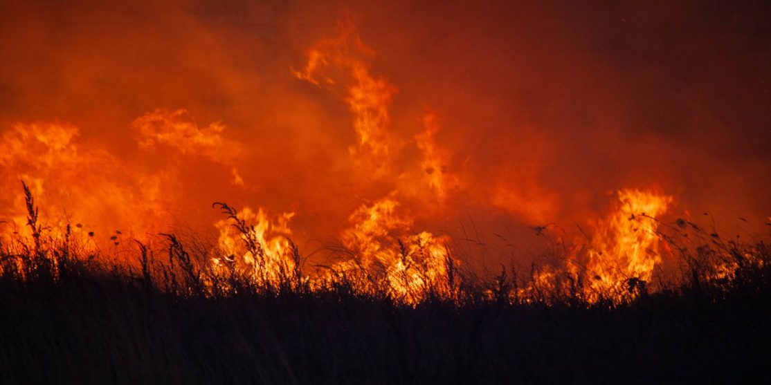 Incendi in Spagna, foto da Pexels.com di Oscar Sanchez