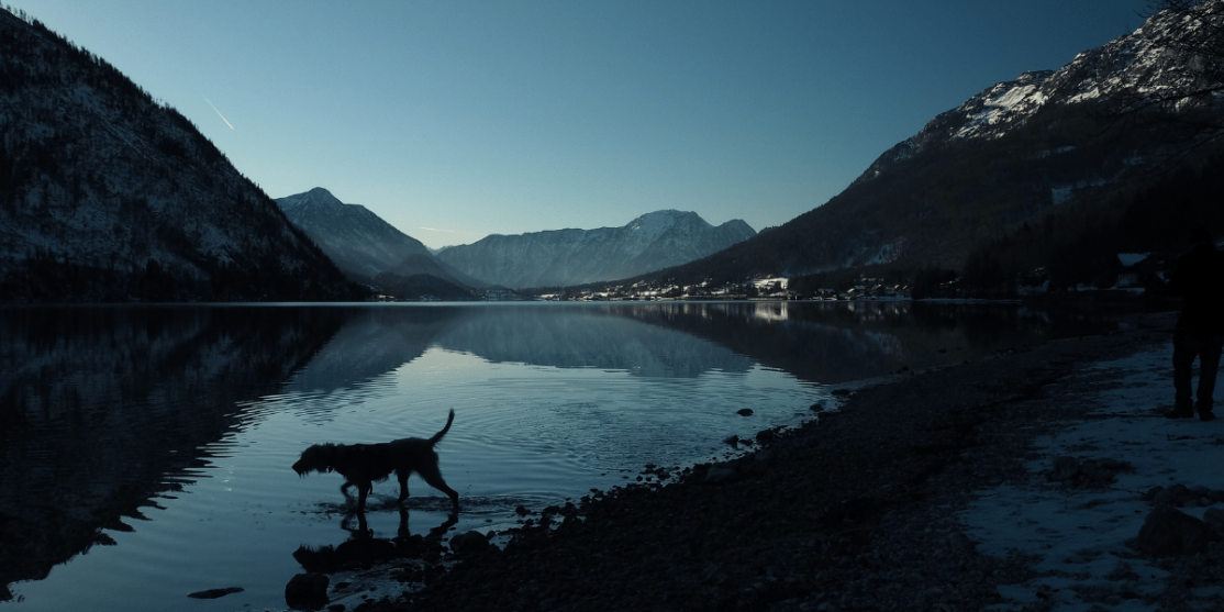 Andreas Schnabl_Pexels