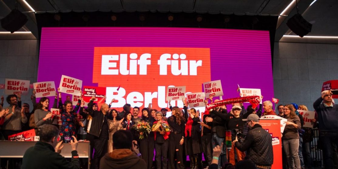 Die Linke_nov25_facebook die linke